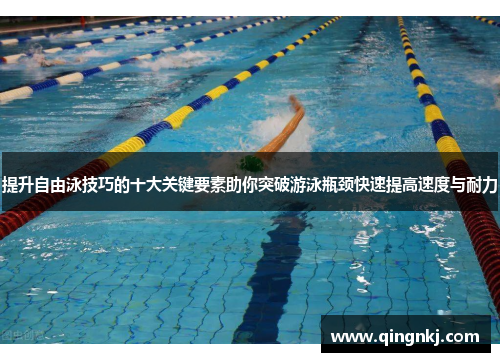提升自由泳技巧的十大关键要素助你突破游泳瓶颈快速提高速度与耐力