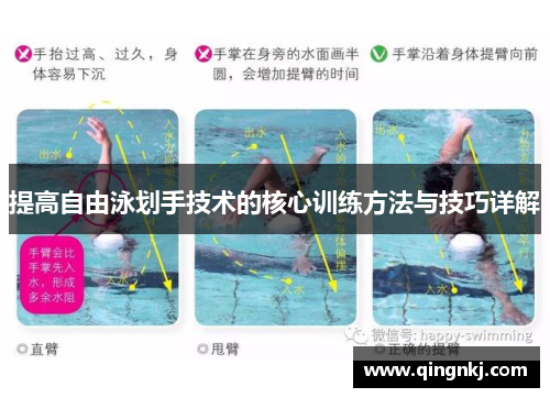 提高自由泳划手技术的核心训练方法与技巧详解