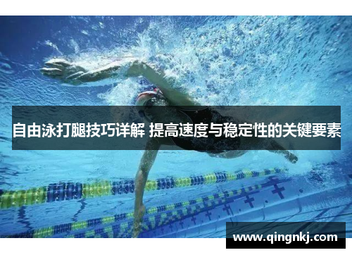 自由泳打腿技巧详解 提高速度与稳定性的关键要素