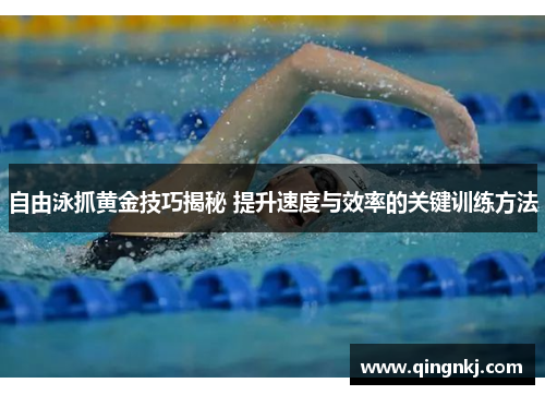 自由泳抓黄金技巧揭秘 提升速度与效率的关键训练方法
