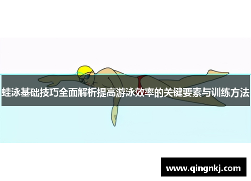 蛙泳基础技巧全面解析提高游泳效率的关键要素与训练方法
