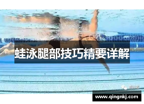 蛙泳腿部技巧精要详解
