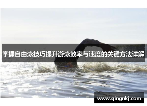 掌握自由泳技巧提升游泳效率与速度的关键方法详解