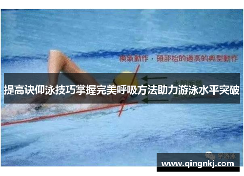 提高诀仰泳技巧掌握完美呼吸方法助力游泳水平突破