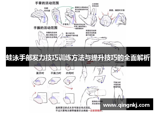 蛙泳手部发力技巧训练方法与提升技巧的全面解析