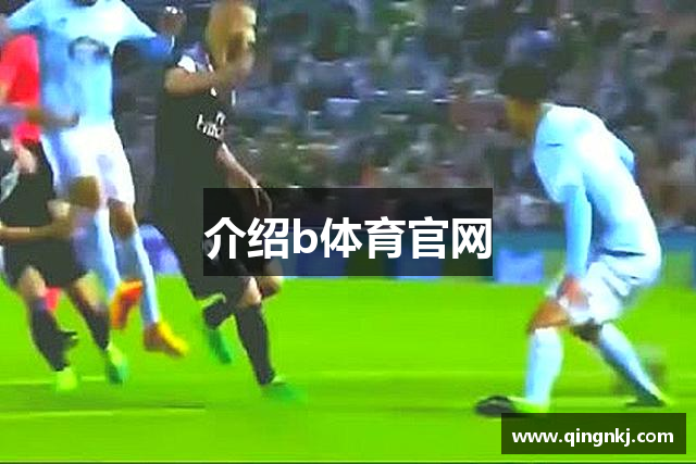 介绍b体育官网